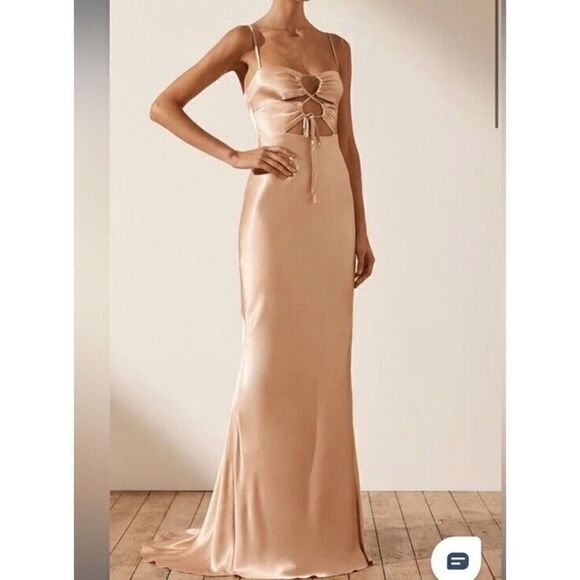 NWT Shona Joy Lace Front Maxi Dress Desert Rose sz 4 US - Picture 5 of 11